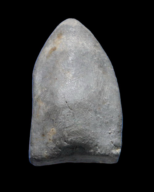 เคาะเดียวครับ พระเนื้อผงรูปเหมือนหลวงพ่อพัฒน์ ออกวัดประสาทบุญญาวาส 2506