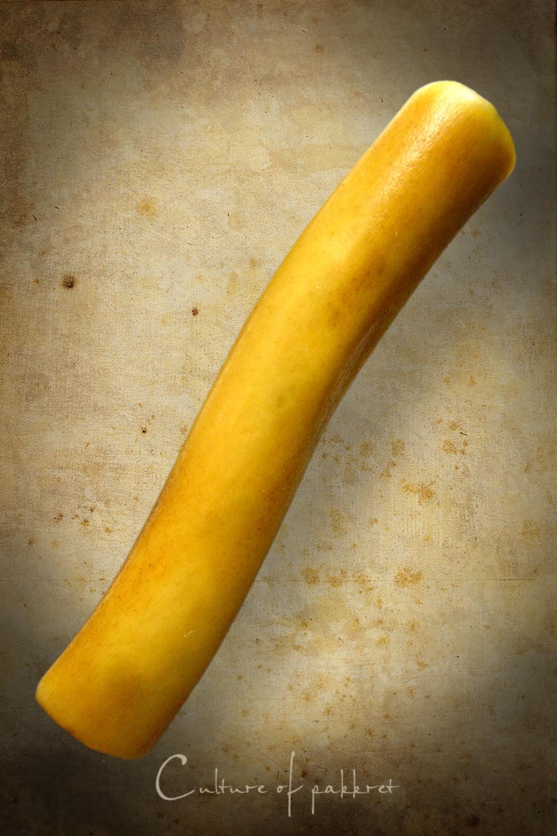 ตะกรุดกระดูกห่าน หลวงพ่อหรุ่น วัดอัมพวัน (996)