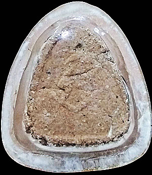 ปิดตาผงจินดามณี ปี2519 หลวงปู่แก้ว วัดละหารไร่ ระยอง