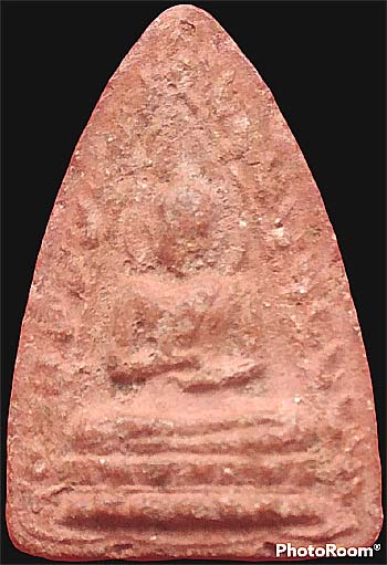 กลีบบัวสองหน้า ว่านสบู่เลือด