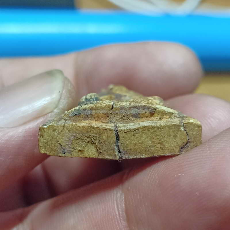 พระผงนางพญา หลวงปู่โชติ อาภัคโค วัดภูเขาแก้ว อ.พิบูลมังสาหาร จ.อุบลราชธานี เก่าเก็บจากกรุ