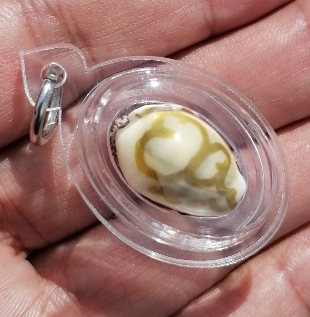 เบี้ยแก้ภควจั่น​ หลวงปู่หงษ์​ พรหมปัญโญ​ สุสานทุ่งมน​ จ.สุรินทร์​​ เลี่ยมพร้อมใช้​ เคาะเดียว   