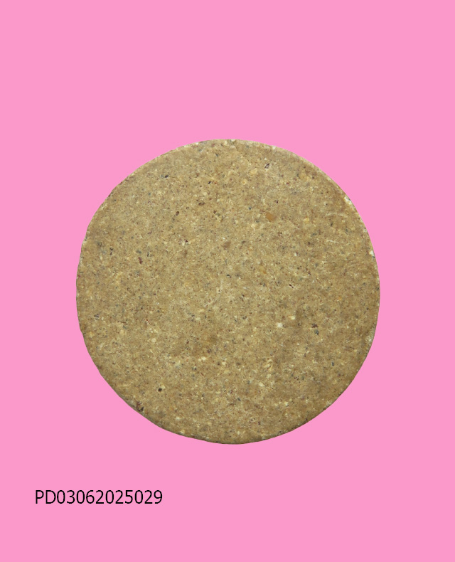 พระผงรูปเหมือน หลวงพ่อบุญมี วัดอ่างแก้ว