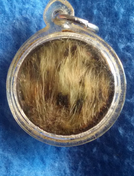 เหรียญตลับยาหม่อง หลังหน้าผากเสือ หลวงพ่อแย้ม วัดสามง่าม จ. นครปฐม