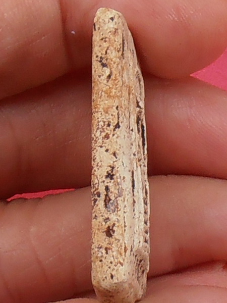 พระสมเด็จพิมพ์วัดเกศไชโย 