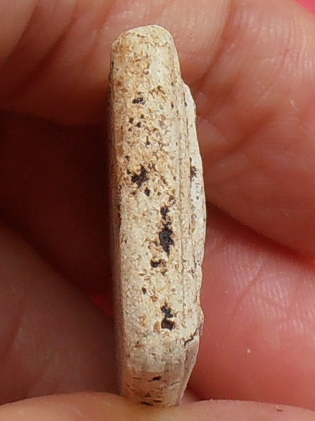 พระสมเด็จพิมพ์วัดเกศไชโย 