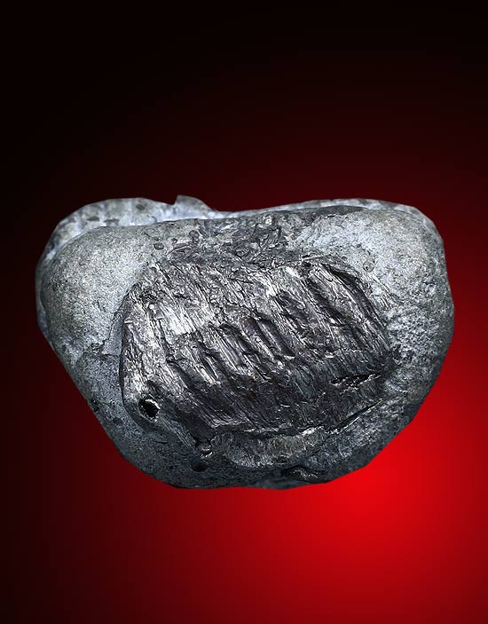 หล่อโบราณ สมเด็จเจ้าเกาะยอ พระอาจารย์คลังแสง สำนักสงฆ์เขากุฏิ ต.เกาะยอ อ.เมือง จ.สงขลา.