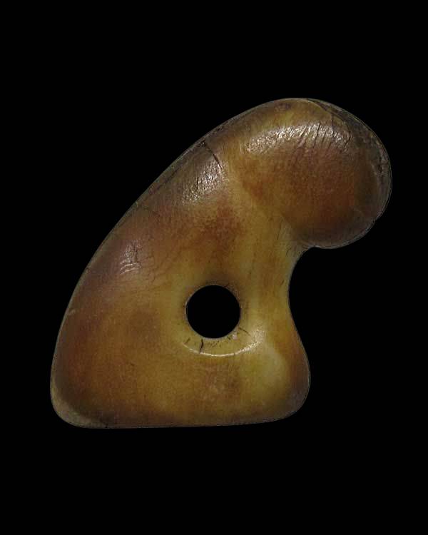 เขี้ยวเสือพิมพ์หุบปากเขี้ยวซีก หลวงพ่อปาน วัดมงคลโคธาวาส(วัดบางเหี้ย) จ.สมุทรปราการ