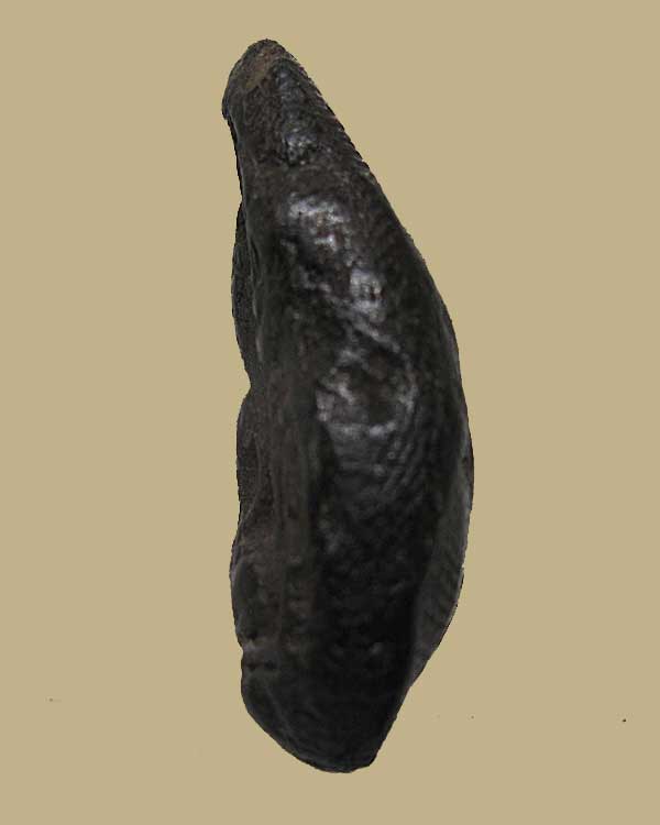 พระขุนแผนปั้นมือพระครูกล้าย วัดหงส์รัตนาราม บางกอกใหญ่ ธนบุรี ปี ๒๔๘๕ เนื้อผงใบลาน