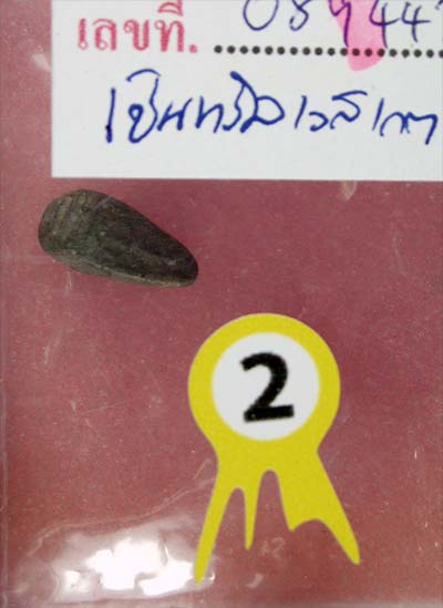 พระพิจิตรเม็ดข้าวเม่า ติดรางวัลที่ 2