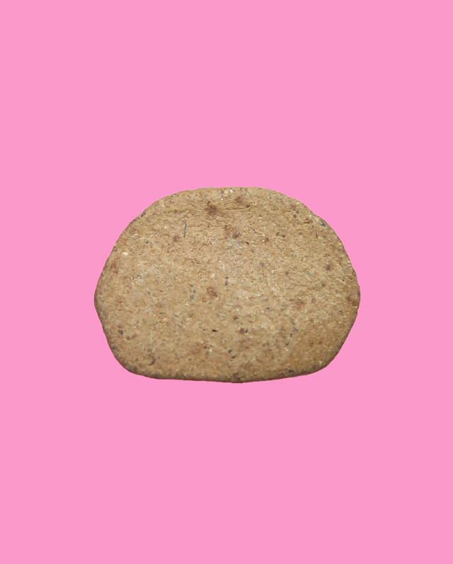 พระสังกัจจายน์ หลวงพ่อเพิ่ม วัดสรรเพชญ