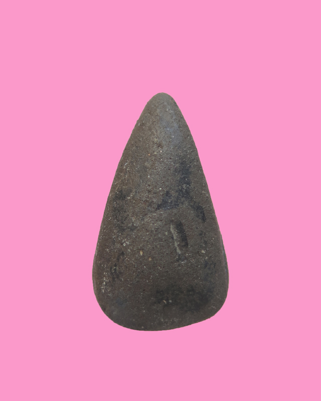 นางพญาเนื้อดิน