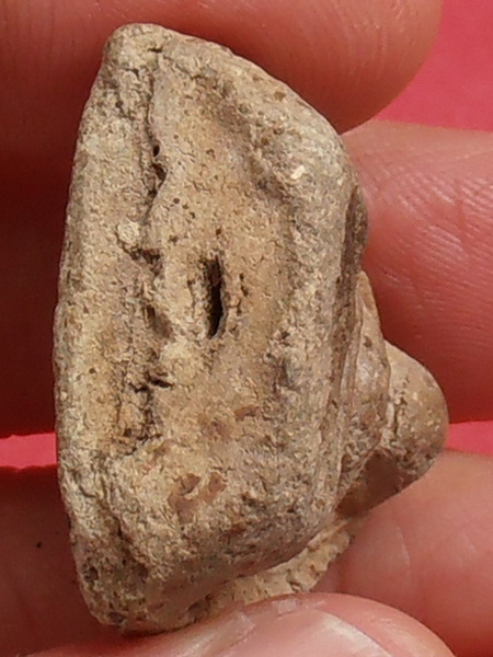 พระวัดประสาท พิมพ์หลวงพ่อโตบางกระทิง ปี๒๕๐๖