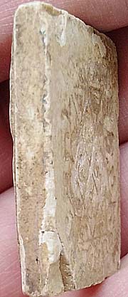 *พระผงมฤคทายวัน ปี๒๔๖๖ ปางป่าเลไลยก์ หลังยันต์ตรีนิสิงเห หลวงปู่นาค วัดหัวหิน ปลุกเสก*