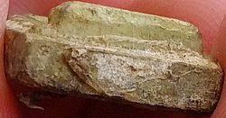 รูปเหมือนไตรภาคี ปี2513 ท่านเจ้าคุณนรฯ วัดเทพศิรินทร์ฯ