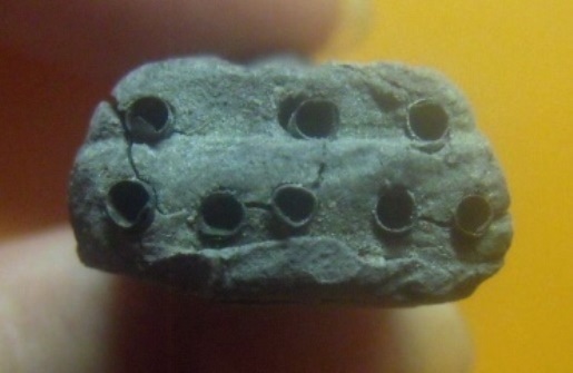 **เบา​ๆ​**หลวงปู่ทวดเนื้อว่านหลังเจดีย์ กรรมการ ฝังตะกรุด 9 ดอก อาจารย์นอง วัดทรายขาว ปี ๒๕๓๕**