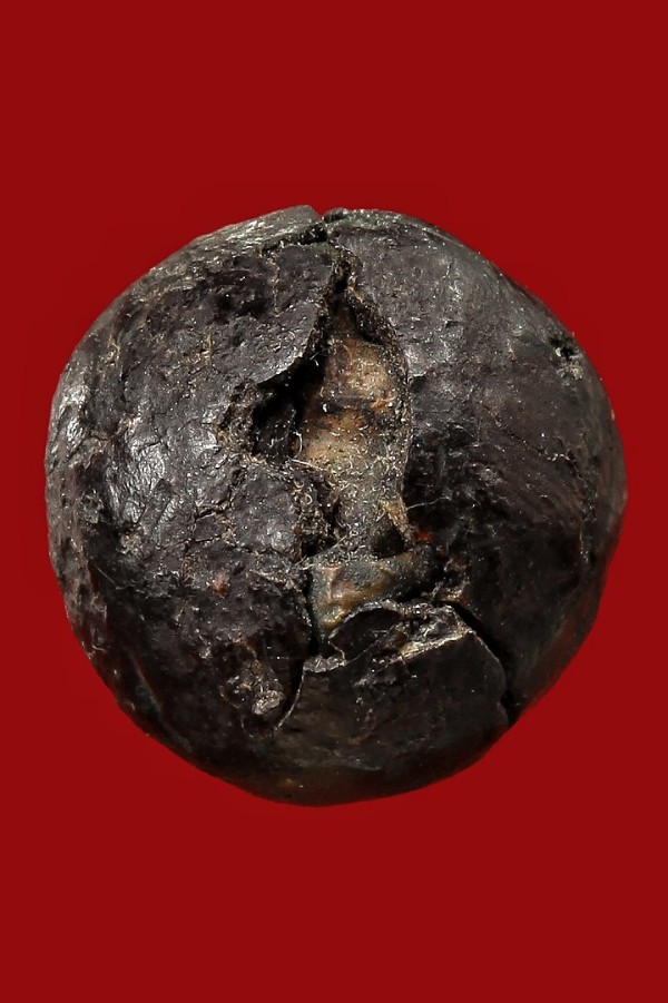 ลูกอมครั่งหลวงพ่อทองศุข วัดโตนดหลวง ขนาดเหรียญ ๑ บาท ด้านในสอดตะกรุดสาริกา