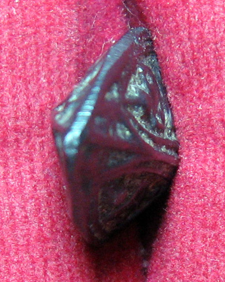 หลวงพ่ออี๋ พุทธสโร วัดสัตหีบ จ.ชลบุรี