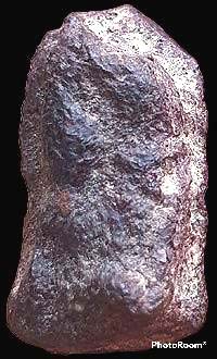 *พิมพ์ซุ้มไข่ปลา เนื้อว่าน กรุวัดป่าแตง พระนครศรีอยุธยา*