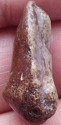 *พระเม็ดบัว (เม็ดน้อยหน่า) เนื้อดิน กรุวัดพระแก้ว กำแพงเพชร*