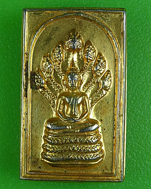 เหรียญพระพุทธ นาคปรก .B862.