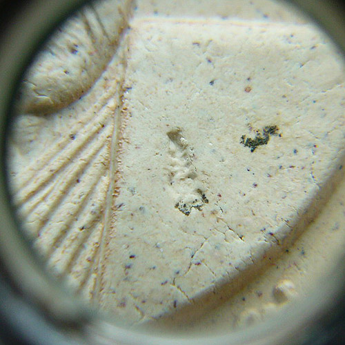 T7 พระผง บาตรน้ำมน เพิ่มลาภ เพิ่มยศ เพิ่มบารมี อายุวัฒนมงคล ๘๐ ปี หลวงพ่อเพิ่ม วัดป้อมแก้ว ปี ๒๕๕๐