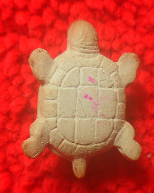 พญาเต่าเรือนเนื้อผงรุ่นแรก ปี35 หลวงปู่คำ วัดหนองแก จ.ประจวบคีรีขันธ์  องค์นี้พิเศษบรรจุพระธาตุ