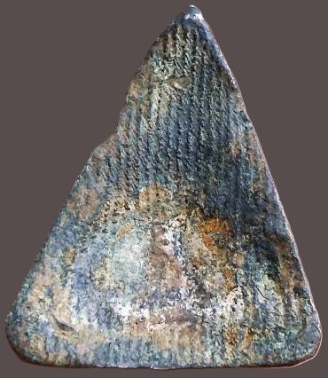 เนื้อชินเงิน