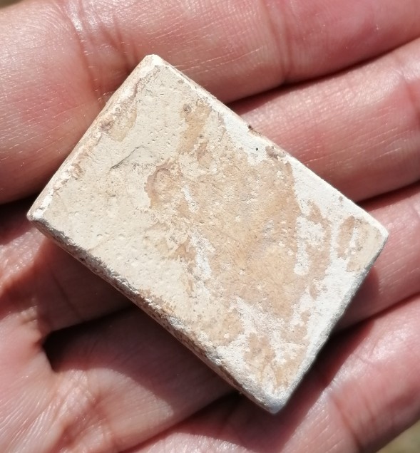 พระสมเด็จทรงสิงห์​ กรุต้นพิกุล หลวงพ่อกวย วัดโฆษิตาราม จ.ชัยนาท ปี​ 2509-10​ เคาะเดียว     