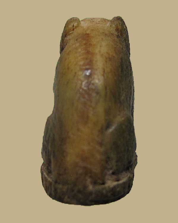 เสือ หลวงพ่อสาย วัดบางเหี้ย จ.สมุทรปราการ ศิลป์นิยม