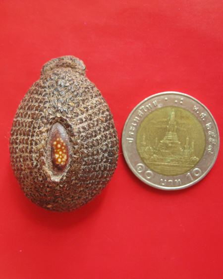 เบี้ยแก้ หลวงพ่อแล วัดพระทรง จ.เพชรบุรี ปี 2509 