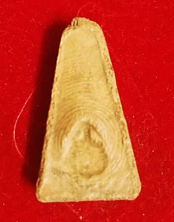 พระซุ้มกอ + พระผงสุพรรณ เนื้อดินมีตราปั้มด้านหลัง ไม่ทราบที่