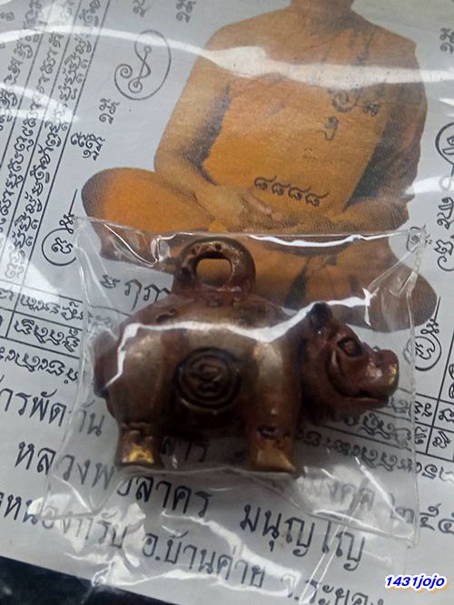 หมูหลวงพ่อสาคร วัดหนองกรับ พิธีเสาร์ 5 มหามงคล ปี 2553