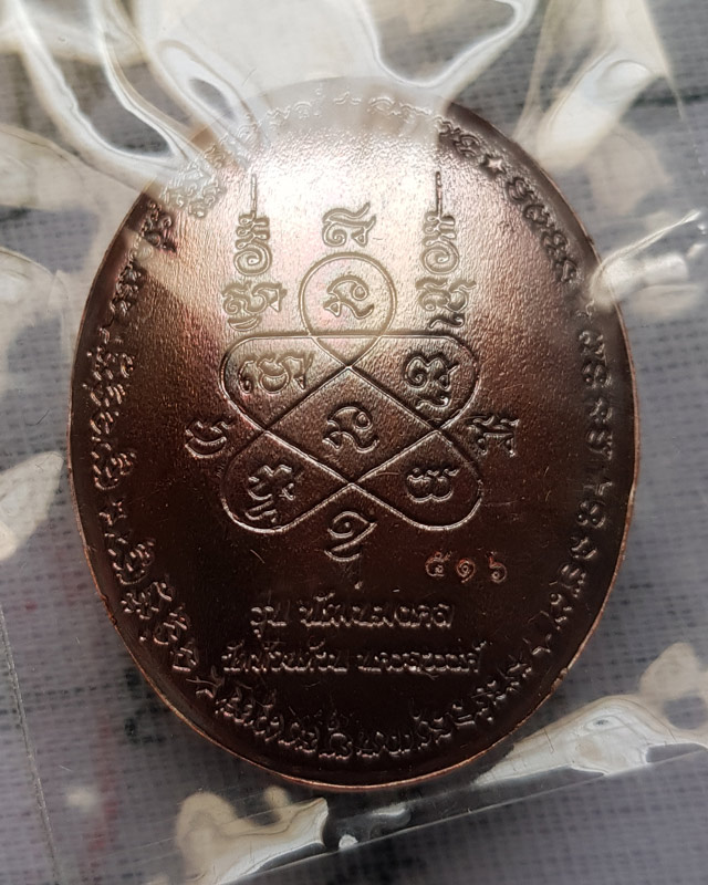 หลวงพ่อพัฒน์ วัดห้วยด้วน จ.นครสวรรค์ เหรียญหลังเต่า รุ่น พัฒนมงคล เนื้อทองแดงรมมันปู พร้อมกล่อง