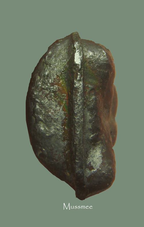 พระปิดตาเนื้อเมฆพัต หลวงปู่ใจ วัดเสด็จ พระสวยแท้ดูง่ายครับ 