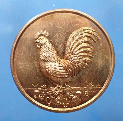 เหรียญพญาไก่รวยทรัพย์ พ่อหลวงล้าน วัดขนาย รุ่นเศรษฐีเงินล้าน ๕๕ สุราษฎร์ สวยกริ๊บ*107