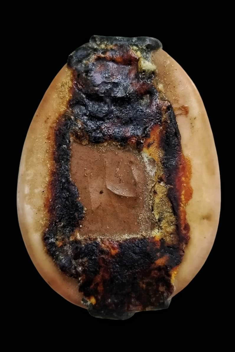 เบี้ยแก้หลวงพ่อคำ ปัญญาสาโร วัดโพธิ์ปล้ำ อ.วิเศษชัยชาญ จ.อ่างทอง