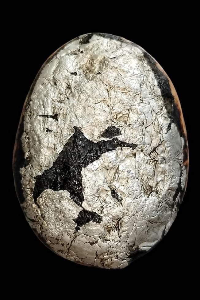 เบี้ยแก้หลวงพ่อซำ อินฺทวัณโณ วัดตลาดใหม่ จ.อ่างทอง 