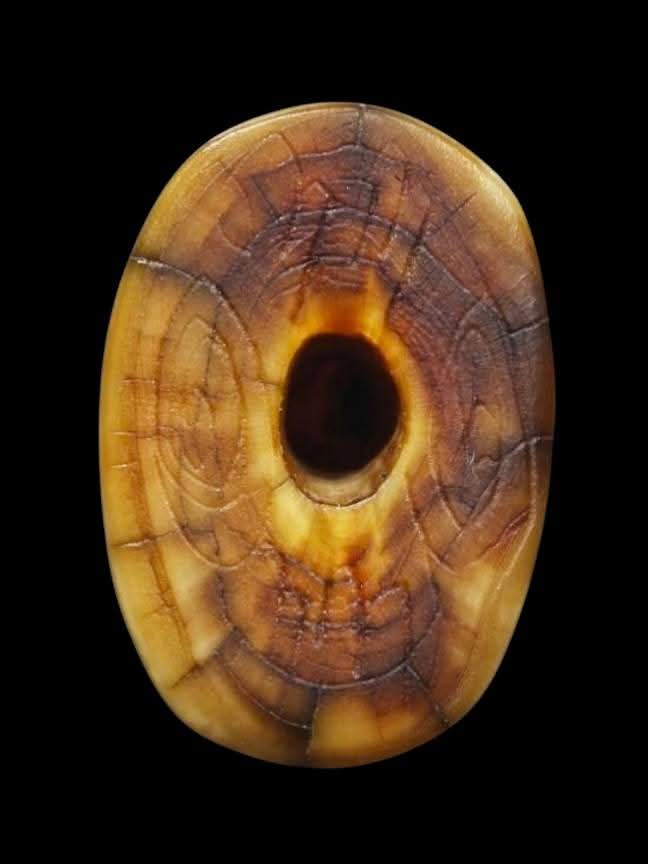 เขี้eวเสืoแกะรูปเสือ(ตัวเล็ก) มีรอยจารรอบตัว