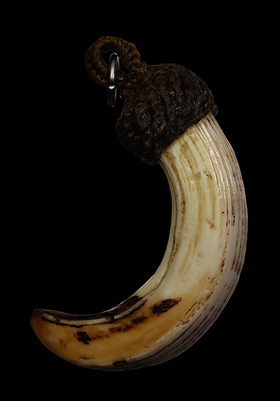 ""เvี้eวหมูตัน"" วัตถุอาถรรพ์เป็นของดีของทนสิทธิ์มีฤทธิ์ในตัว