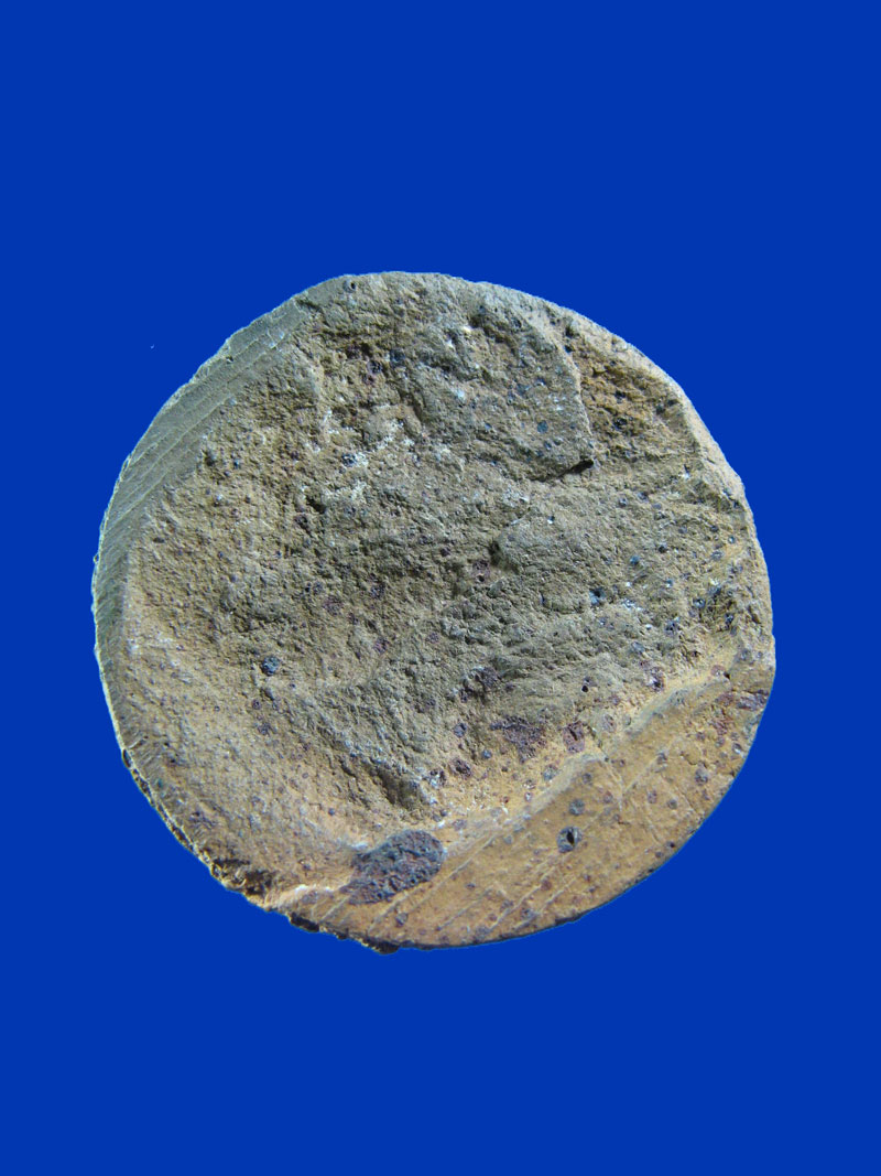 $ งบน้ำอ้อย พระเจ้าห้าพระองค์ หลวงปู่ยิ้ม วัดเจ้าเจ็ด จ.อยุธยา