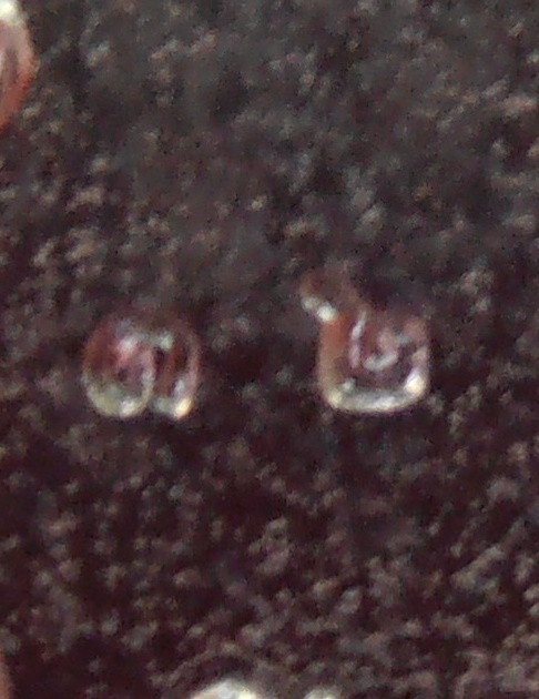 เหรียญไก่หลวงปู่สรวง วัดถ้ำพรหมสวัสดิ์ ลพบุรี