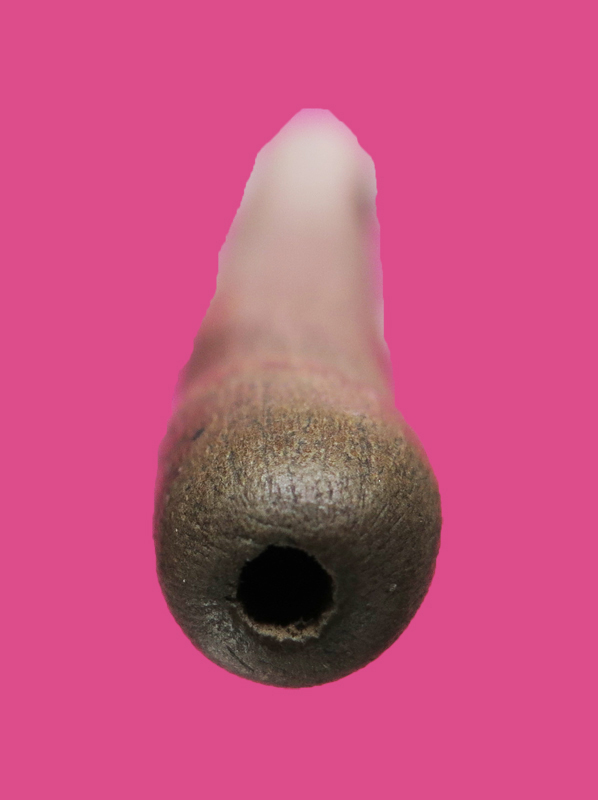 ปลัดขิก ไม่ทราบที่ เก่าพอควร