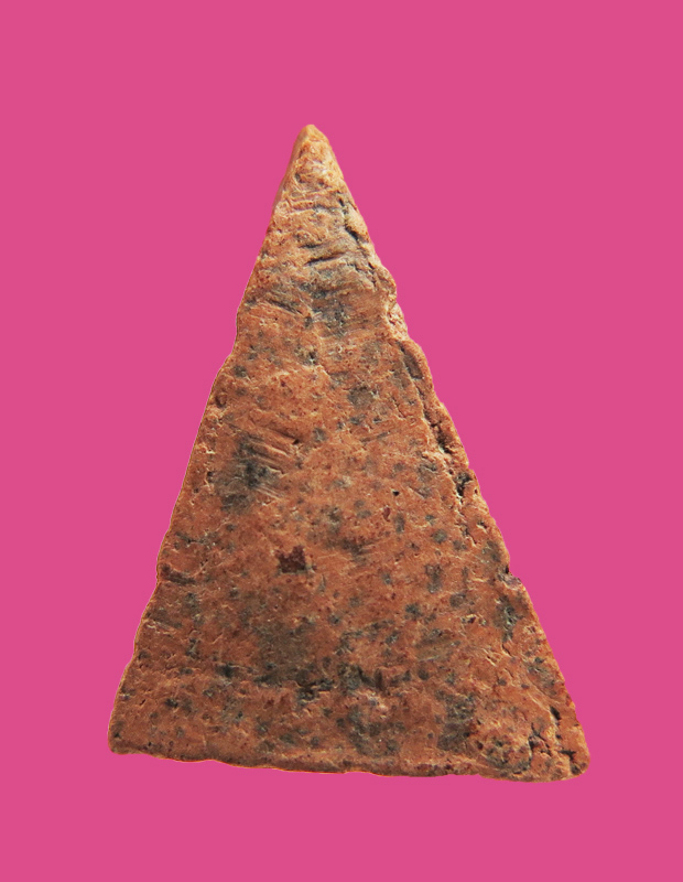 นางพญาจิ๋ว สูงแปดมิล ไม่ทราบที่