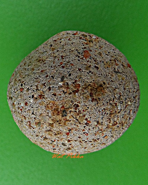 ลูกอมหลวงพ่อสี วัดไผ่เงินโชตนาราม กทม. .D312.