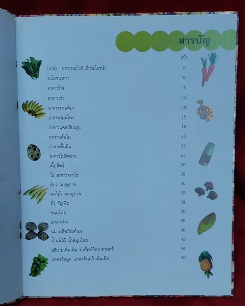 (ปิด99-)อาหารดี มีประโยชน์ ผู้เขียน ทักษิณา ณ ตะกั่วทุ่ง กว้าง22xยาว28ซ.ม. ปกแข็ง 48หน้า(สภาพมือสอง)