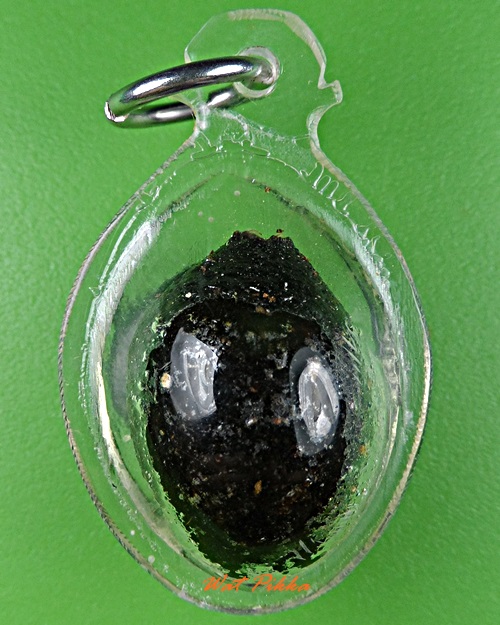 หมากทุยหลวงปู่หลุย วัดราชโยธา กทม. .D333.