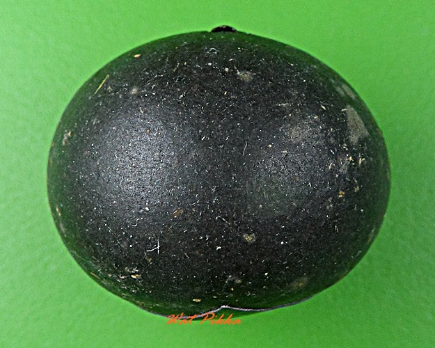 ลูกอมผงมหาว่าน ฝังตะกรุดเงิน หลวงปู่สิงห์ วัดบ้านขี้เหล็ก ศรีสะเกษ .D338.