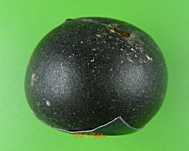 ลูกอมผงมหาว่าน ฝังตะกรุดเงิน หลวงปู่สิงห์ วัดบ้านขี้เหล็ก ศรีสะเกษ .D339.