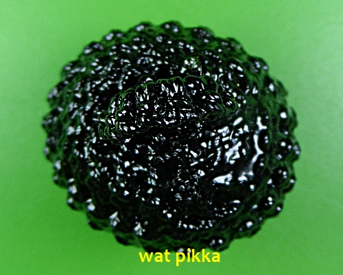 ลูกสะกดมหาฉะหังหลวงปู่สิงห์ วัดบ้านขี้เหล็ก ศรีสะเกษ .D376.*